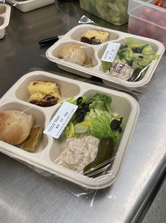 SASi home delivery food tray